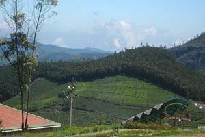 Doddabetta Resort Ooty Bagian luar foto